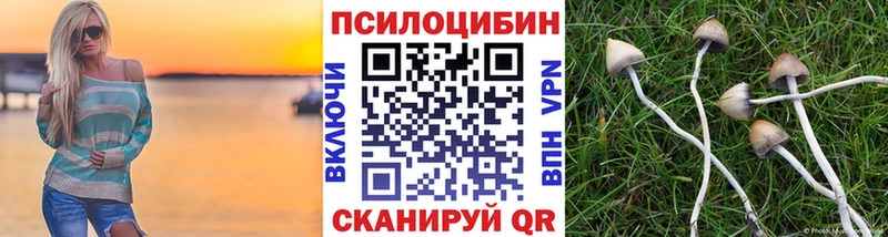 Галлюциногенные грибы прущие грибы  Купить закладки  Братск 